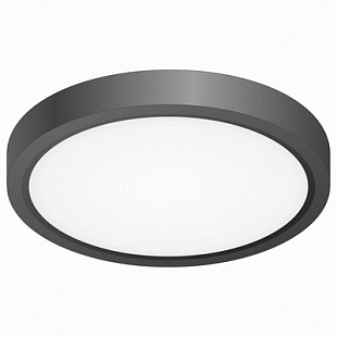 Светильник потолочный CITILUX БЕЙСИК CL738121N