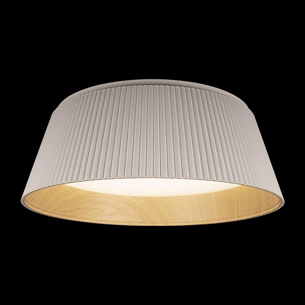 Светильник потолочный LOFT IT EVANS 10224 White
