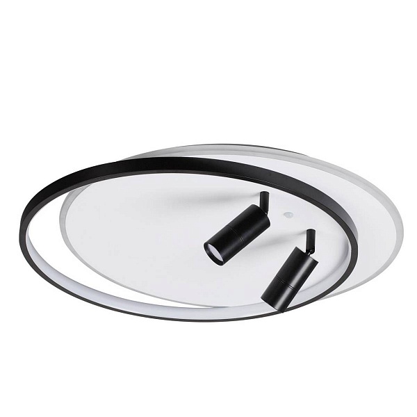 Светильник потолочный LUMION NAOKO 5603/75CL