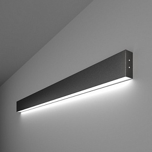 Светильник настенный ELEKTROSTANDARD 101-100-30-103 a042931