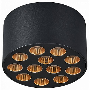 Спот LIGHTSTAR GUARDA 80942