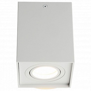 Спот OMNILUX FELETTO OML-101109-01