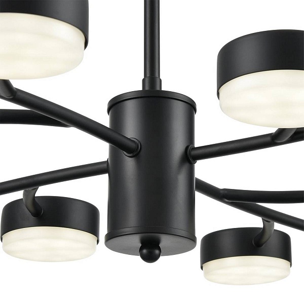 Люстра подвесная LUMION TORINA 8117/12