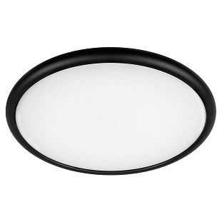 Светильник потолочный LOFT IT SWEETY 10454/500 Black