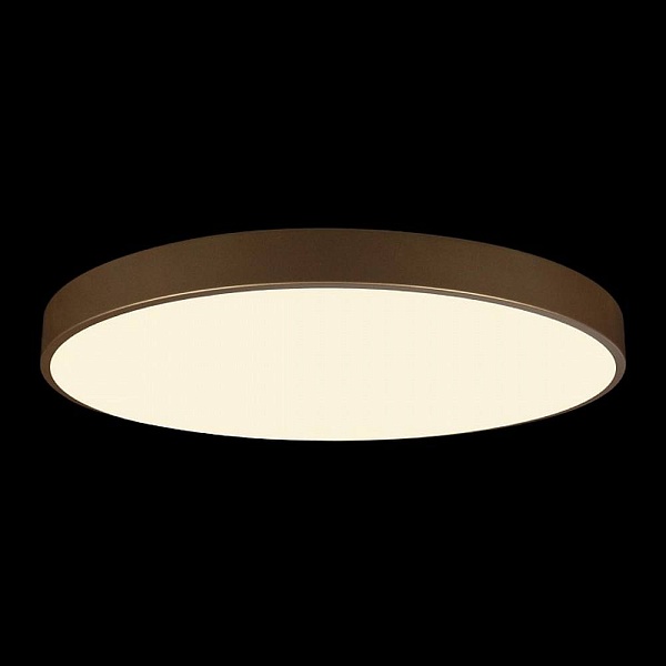 Светильник потолочный LOFT IT FLIMS 10228/B