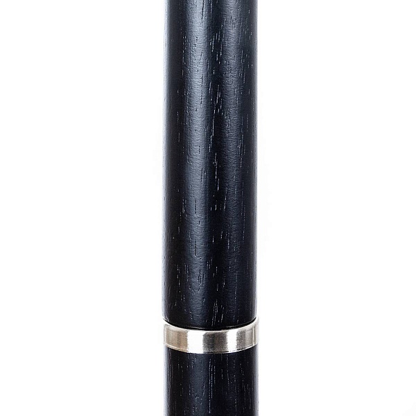 Торшер ARTE LAMP ROBERT A5029PN-1SS