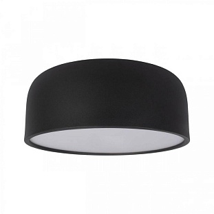 Светильник потолочный LOFT IT AXEL 10201/350 Black