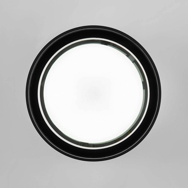 Светильник уличный потолочный ELEKTROSTANDARD LIGHT 4690389180835
