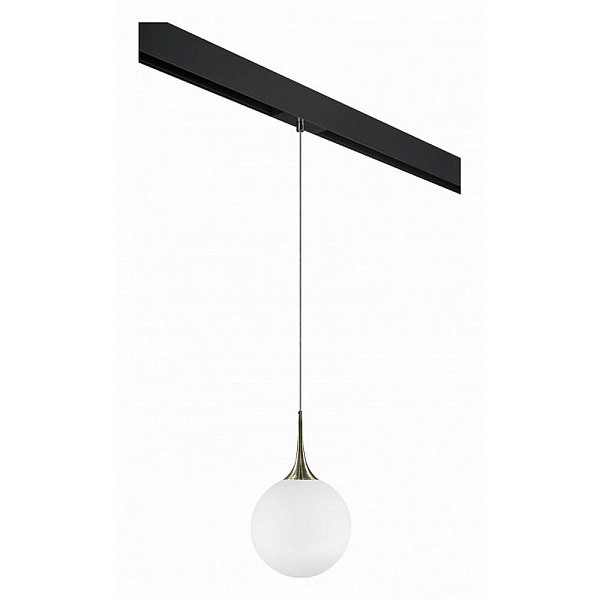 Трековый светильник LIGHTSTAR GLOBO PRO813031