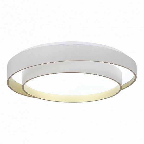 Светильник потолочный EVOLUCE CROSBY SLE6009-502-01