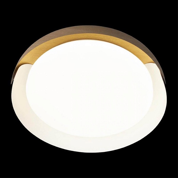 Светильник потолочный LOFT IT COIN 10198 White