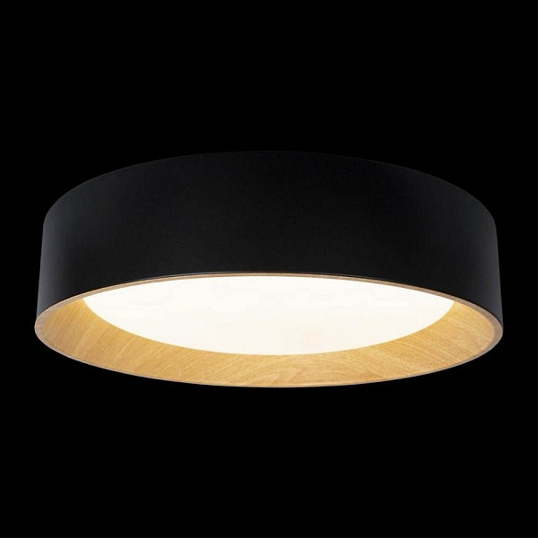 Светильник потолочный LOFT IT COIN 10202 Black