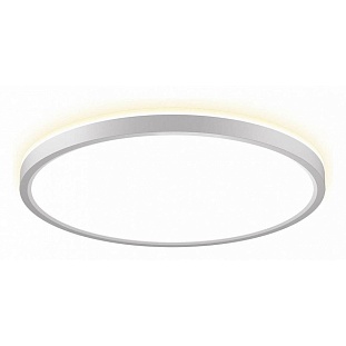 Светильник потолочный CITILUX NORMA CL748320