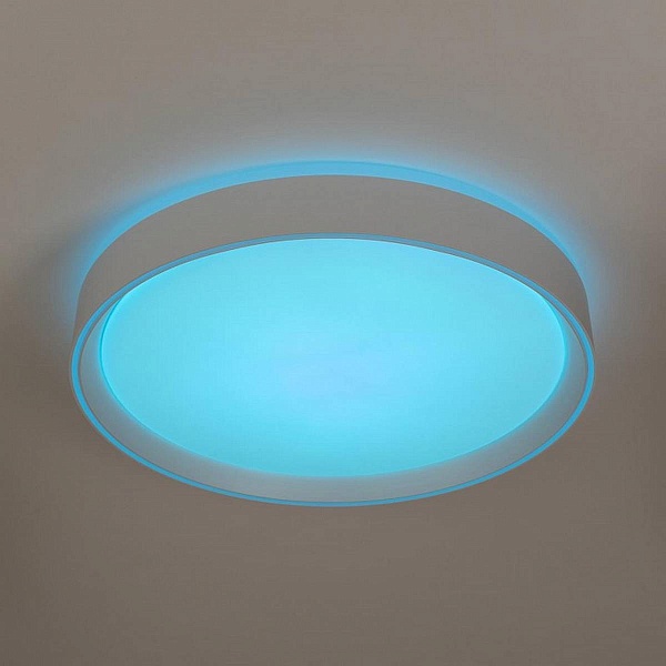 Светильник потолочный CITILUX BOSS CL751350G