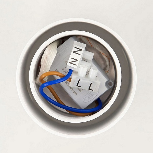 Спот CITILUX БОРН CL745010N
