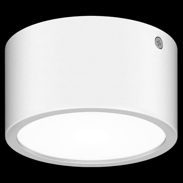 Светильник уличный потолочный LIGHTSTAR ZOLLA 380164