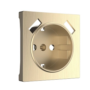Накладка розетки с з/к + 2xUSB, шампань рифленый, W1179510, WERKEL