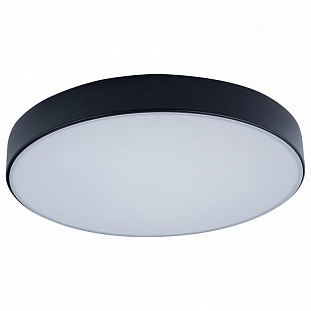 Светильник потолочный LOFT IT AXEL 1 10002/24 Black