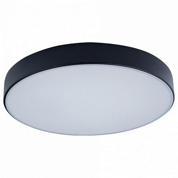 Светильник потолочный LOFT IT AXEL 1 10002/24 Black