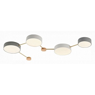 Светильник потолочный EVOLUCE DOSSENA SLE600102-04