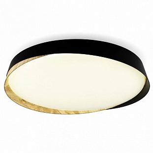 Светильник потолочный CITILUX BONNY CL754451G