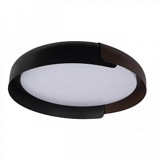 Светильник потолочный LOFT IT COIN 10198 Black