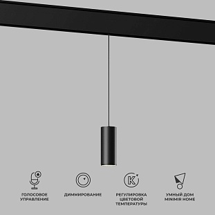 Трековый светильник ELEKTROSTANDARD SLIM MAGNETIC a063533