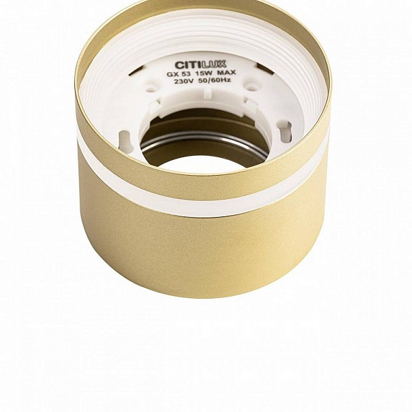 Спот CITILUX HARDY CL002C12