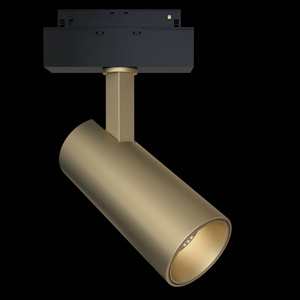 Трековый светильник MAYTONI FOCUS LED  TR019-2-15W3K-MG