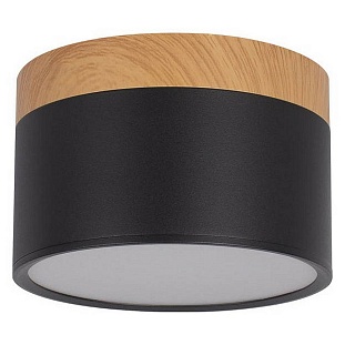 Светильник потолочный LOFT IT GRAPE 10162 Black