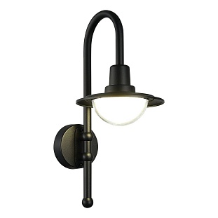 Светильник уличный настенный ST LUCE PROCHE SL9512.401.01