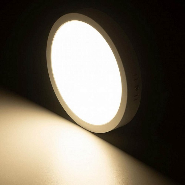Светильник потолочный CITILUX ГАЛС CL5522N