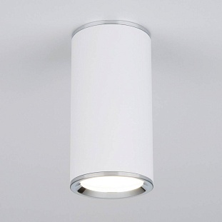 Спот ELEKTROSTANDARD DLN101 a043967