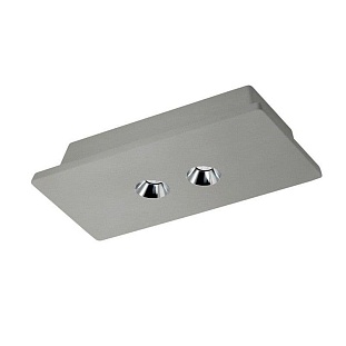 Светильник потолочный LOFT IT ARCHITECT OL1072-GH/2