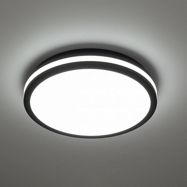 Светильник потолочный CITILUX LUNS CL711021V