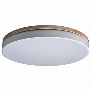 Светильник потолочный LOFT IT AXEL 10001/36 White