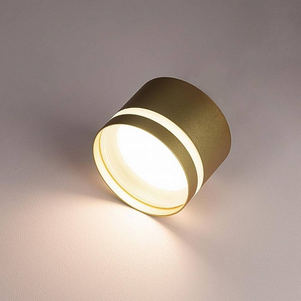 Спот CITILUX HARDY CL002C12