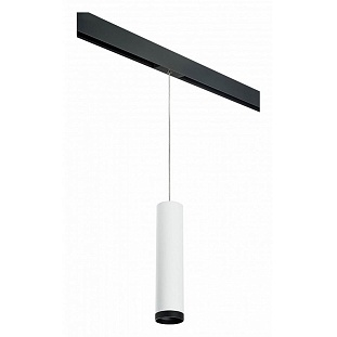 Трековый светильник LIGHTSTAR RULLO PRORP4963437