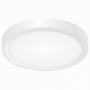 Светильник потолочный CITILUX БЕЙСИК CL738120N