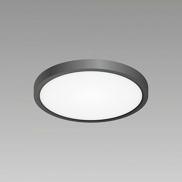 Светильник потолочный CITILUX БЕЙСИК CL738181V