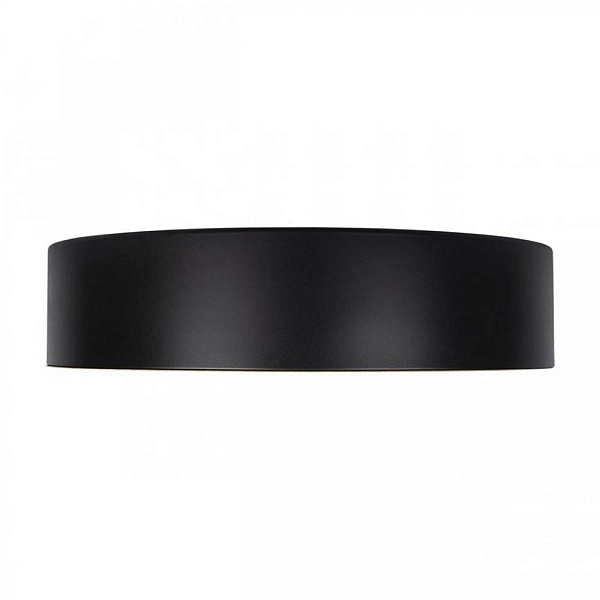 Светильник потолочный LOFT IT COIN 10202 Black