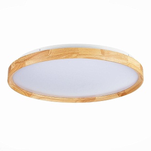 Светильник потолочный EVOLUCE DELIA SLE201382-01