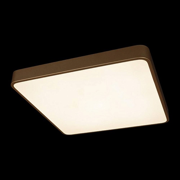 Светильник потолочный LOFT IT FLIMS 10228/D