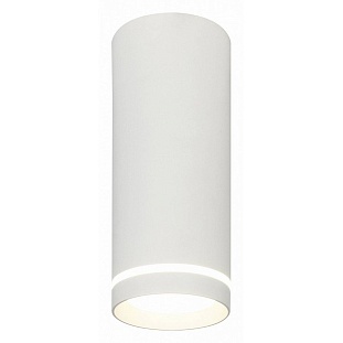 Спот ESCADA 20009 20009SMU/02LED SWH