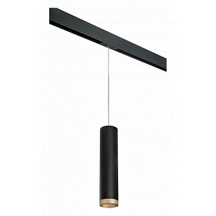 Трековый светильник LIGHTSTAR RULLO PRORP49740