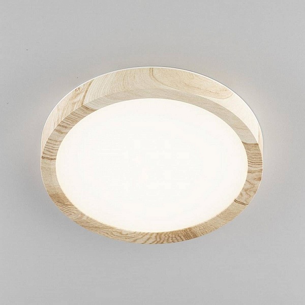 Светильник потолочный CITILUX БЕЙСИК CL738122N