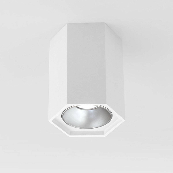 Спот ELEKTROSTANDARD 25036-LED a055856