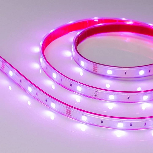 Лента LED RTW-PS-B30 7,2 W/m 12V IP67 5060/30 K 13mm (5м) 28711 ARLIGHT