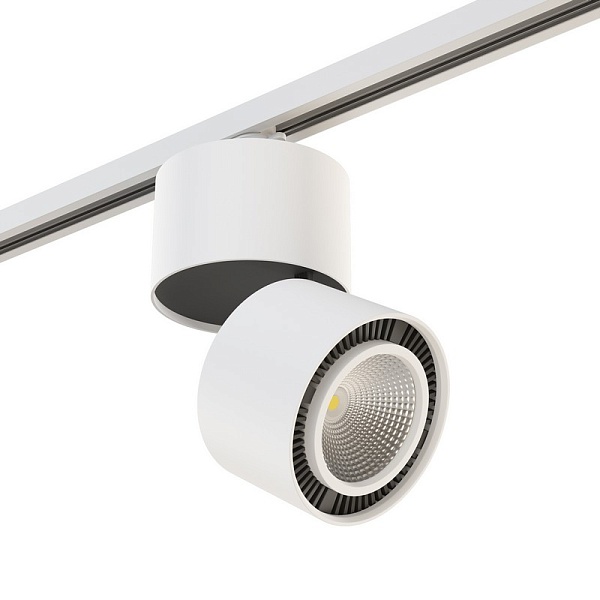 Трековый светильник LIGHTSTAR FORTE MURO A1T213850