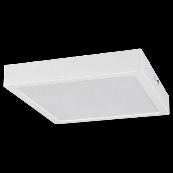 Светильник потолочный CITILUX ГАЛС CL55K22N
